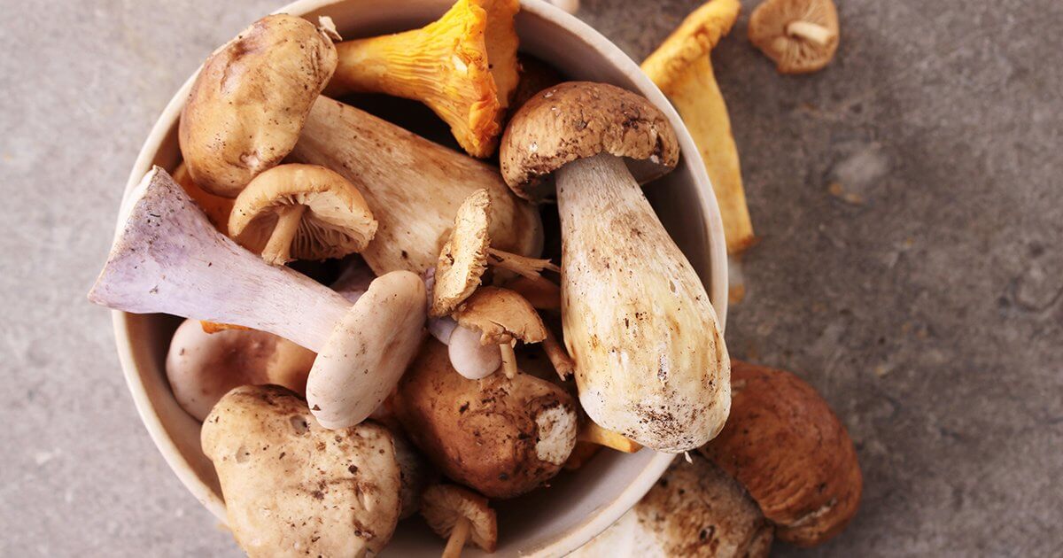 Mushrooms_blog_fb Mushrooms_blog_fb